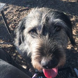 Meet your Posher, Holly